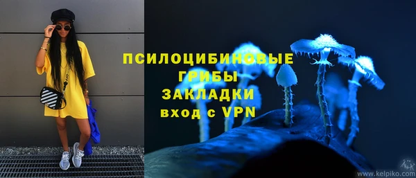 винт Елабуга