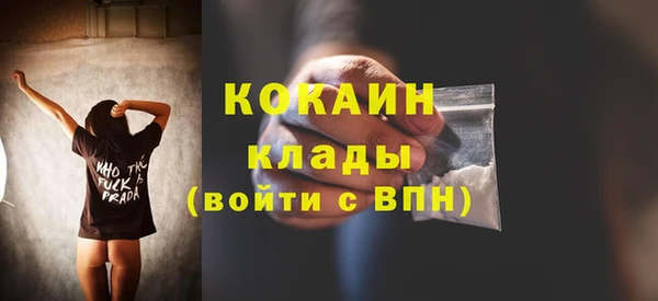 метадон Ельня