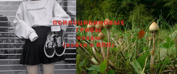винт Елизово