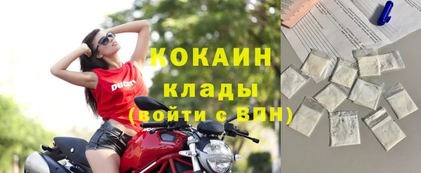 метадон Ельня