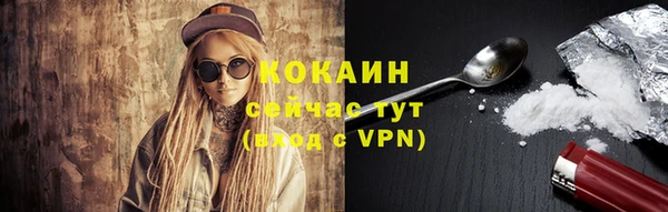 метадон Ельня