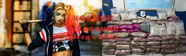 винт Елабуга