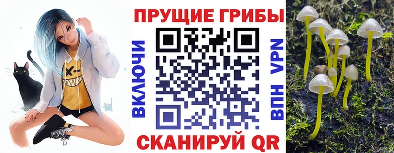 Купить  Малоархангельск  Галлюциногенные грибы мицелий 